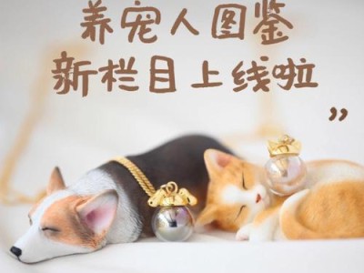 金毛吃酸奶的好处（提升狗狗健康美容养颜促进消化）