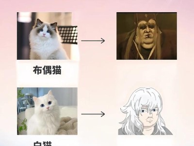猫与主人的情感纽带（揭秘猫咪对主人的认同过程及时间因素）