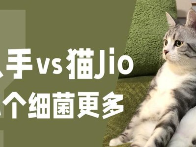 狗细菌培养时间及结果的相关研究（以狗为对象的细菌培养时间和结果分析）