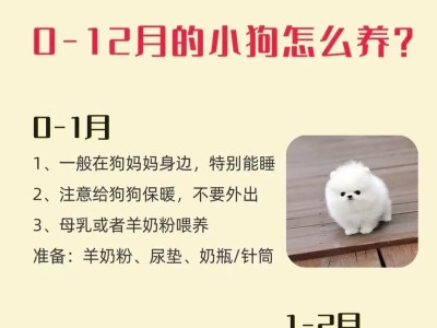 养宠百科（了解鹦鹉的睡眠方式，让它们健康快乐）