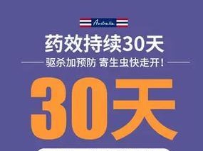 法斗驱虫频率（科学指南揭示法斗体内驱虫最佳时间间隔）