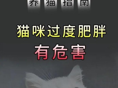 猫与人类协作的同时也带来了健康隐患（探索猫咪身上的潜在危害及如何预防）