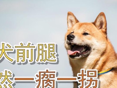 天生腿瘸的动物之谜（揭秘那些与众不同的四腿生物）