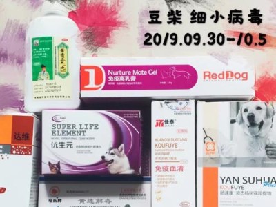 细小患者能否正常进食？（细小病患者的饮食注意事项及恢复时间）