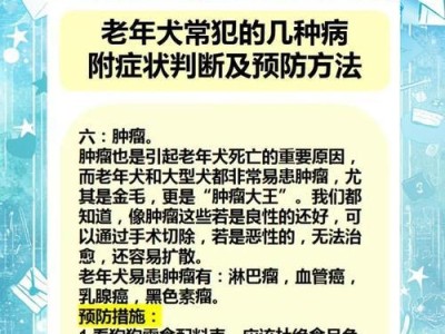 犬类常见病与预防（了解犬类常见病，让我们的宠物更健康）