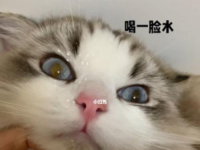 猫咪不饮水，饮水量突然增加的原因和解决方法（揭秘猫咪喝水的奥秘，教你正确给猫咪补水）