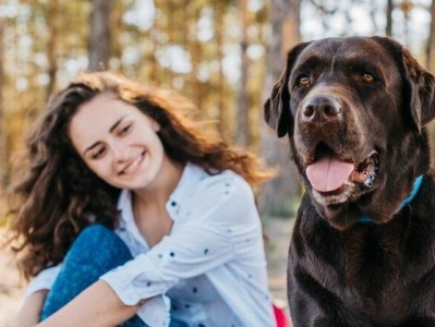 养一只幸福的美国比特犬（以专业的饲养技巧和爱心，让你的比特犬健康成长）