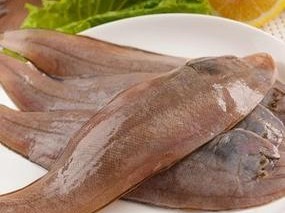小狗的健康饮食之海鱼食谱（小狗的营养均衡之海鱼饮食探究）
