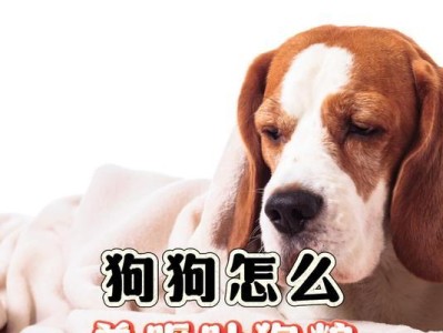 狗狗吐吃的原因及预防方法（了解狗狗吐吃的原因，让它们健康快乐地成长）