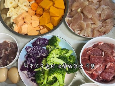 十天的小狗食谱（了解如何为你的小狗提供营养均衡的饮食）