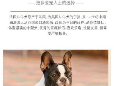 斗牛犬的血统与特点（探索斗牛犬的家族树及其优秀品质）
