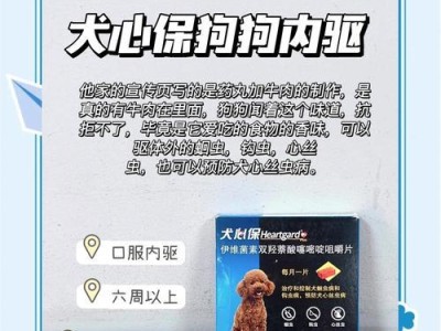 如何正确给狗狗服用驱虫药（注意事项及建议，保护宠物健康）