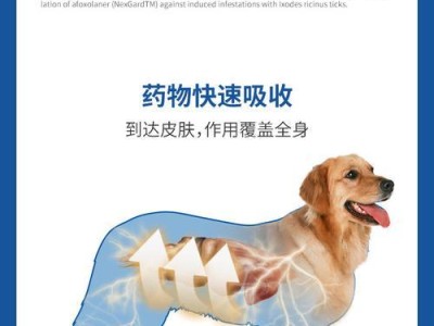 尼可信——治疗神经性疾病的有效药物（了解尼可信的作用、副作用及使用注意事项）