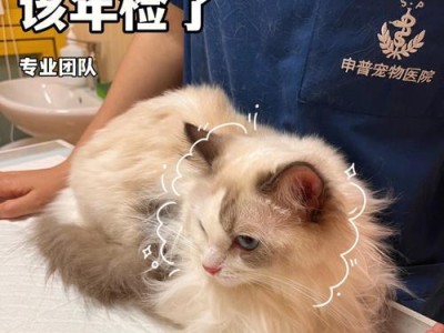 如何判断猫咪是否骨折？（宠物主人必读，掌握这些关键诀窍。）