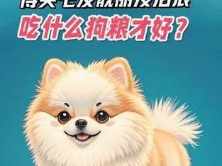 如何适量喂养两个月大的博美犬？（合理掌握狗粮喂养技巧，关爱宠物健康成长）