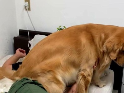 如何训练小狗正确地叫起来（培养小狗良好叫声的关键技巧）