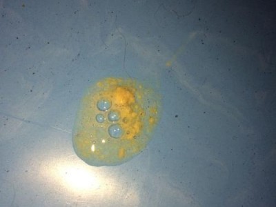 泰迪最近食欲不振的原因分析及解决方法（通过观察发现的泰迪食欲不振原因及家长的应对措施）