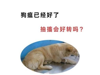 犬瘟热晚期的致命症状与救治关键（狗狗晚期犬瘟热的症状及救治方法，以保护它们的生命）