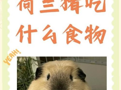 荷兰鼠为什么不吃东西的奥秘（揭开荷兰鼠不进食的原因和生理机制）