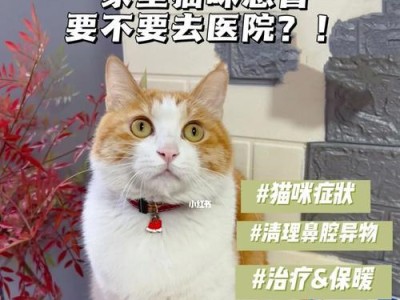 小猫感冒后遗症的治疗和预防（以宠物为主，从感冒症状到后遗症的全面了解）