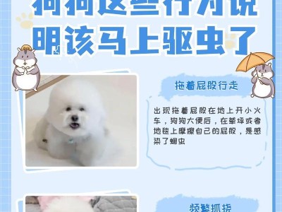 狗狗突然消瘦的原因解析（研究发现导致狗狗消瘦的各种因素）
