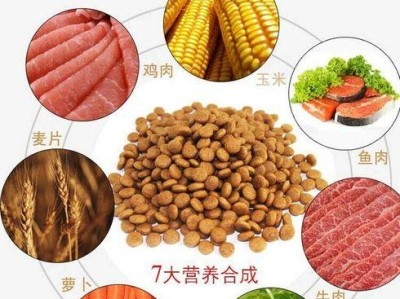 黑贝的饮食需求（以黑贝吃什么狗粮为主题的饮食指南）