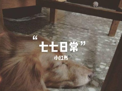 如何饲养苏俄猎狼犬，让它健康快乐地成长（一只优秀的苏俄猎狼犬需要这些关爱）