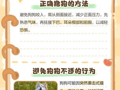 如何让狗狗不咬人（掌握训练技巧帮助你的宠物安全相处）