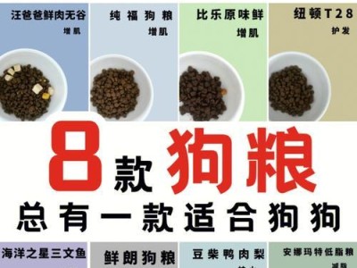 博美犬的食量控制与管理（了解你的狗狗，科学合理的喂养是关键）