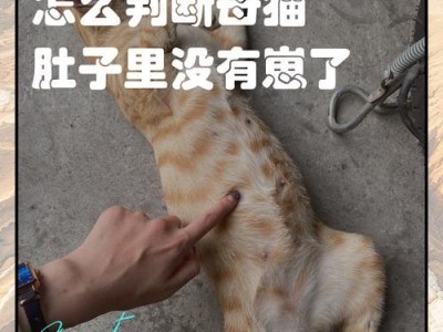 母猫怀孕期长短的判断方法（了解母猫的怀孕周期，守护宠物的健康生活）