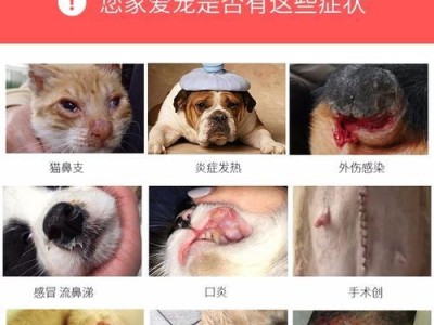 宠物狗狗的口腔溃疡及防治方法（宠物狗狗口腔溃疡的原因和治疗方法）