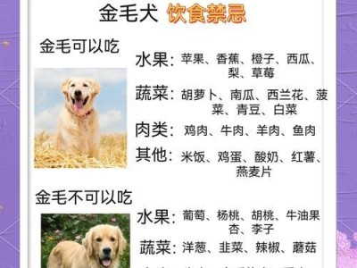 金毛幼犬的驱虫与疫苗接种时间表（了解金毛幼犬的驱虫与疫苗接种时机，守护它们的健康成长）