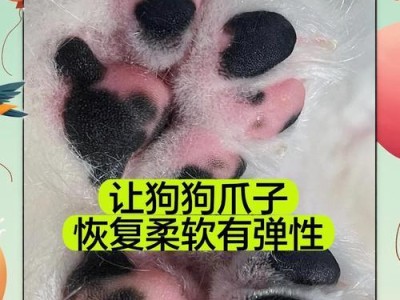 为什么狗狗不喜欢让人碰它们的爪子？（狗狗爪子护理指南-如何正确照顾肉垫？）