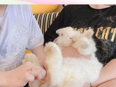 如何正确地抱兔子？（了解兔子的特性与正确的抱兔子方法）