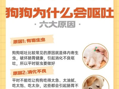 狗狗为何呕吐并不爱吃东西？（探究狗狗食欲不振的原因及解决方法）