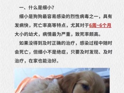哪些狗不容易得细小？（探究狗狗细小病毒的感染特点及易感品种）