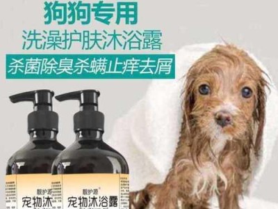 泰迪犬的洗澡频率（如何科学地给泰迪犬洗澡，让它更健康）