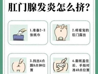 猫咪肛门颜色的正常范围及健康指标（探究猫咪肛门颜色的变化和对健康的影响）