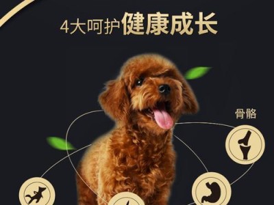 贵宾犬的饮食控制（合理饮食对贵宾犬的重要性）