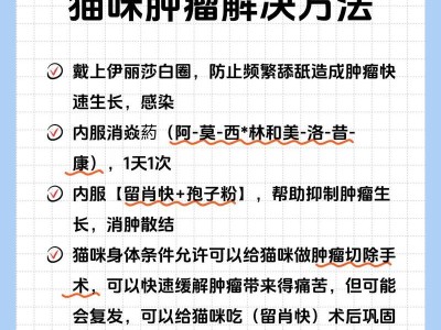 猫肿瘤的常见症状及治疗方法（了解猫肿瘤症状有助于早期发现与治疗）