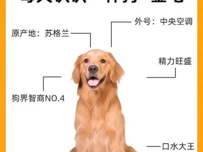 金毛的标准体重及正常范围（探究金毛犬的理想体重及健康指导）