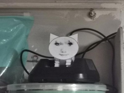 龙猫便秘的原因及应对方法（帮助龙猫解决便秘问题的养护方法）