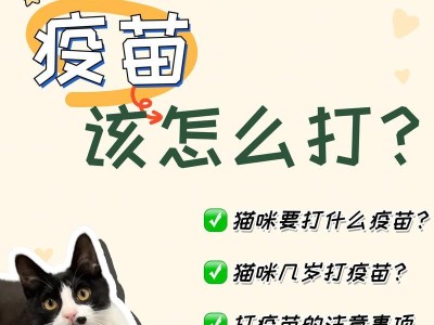宠物猫打疫苗的重要性（为你的爱猫提供全面保护）