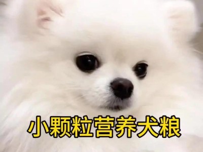 如何掌握博美幼犬的食量（博美3个月应该吃多少狗粮？）