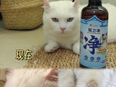 猫咪长猫癣了怎么办？（探究猫癣的原因、治疗方法及预防措施）