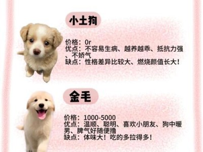 培养泰迪狗听话的技巧（掌握关键时刻让泰迪狗听话的方法）
