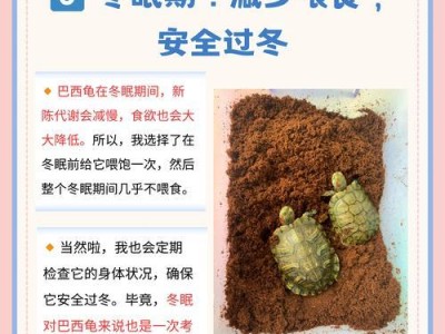 红耳巴西龟养护指南（以养龟新手必备宝典）