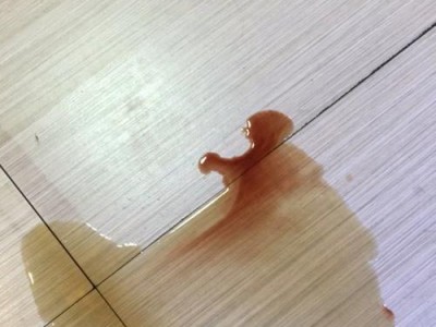 博美幼犬如何养成定点尿习惯（培养宠物狗狗良好的大小便习惯，你需要做的就是…）