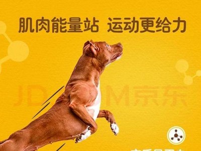 如何选择适合萨摩耶的优质狗粮（萨摩耶狗粮选择攻略及推荐品牌）