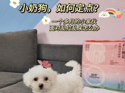 狗狗没有奶怎么办？（解决你的狗狗哺乳问题）